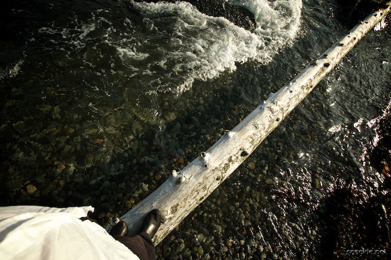 walking above the water