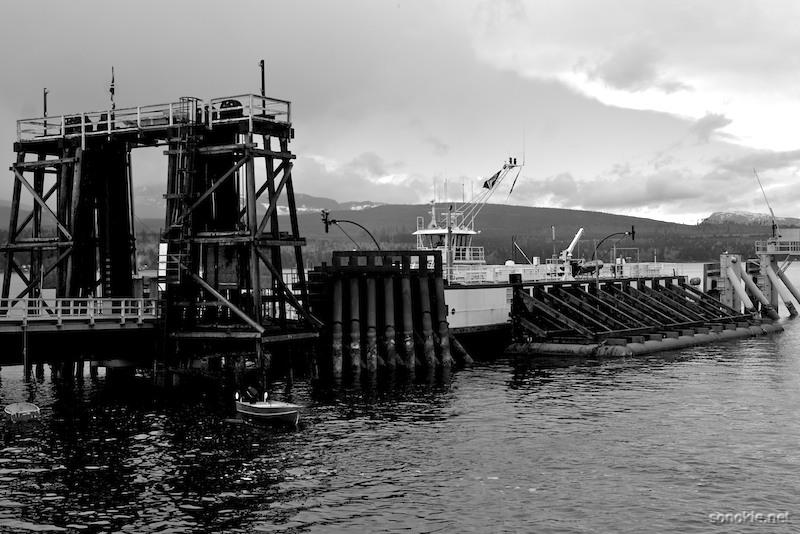 denman ferry