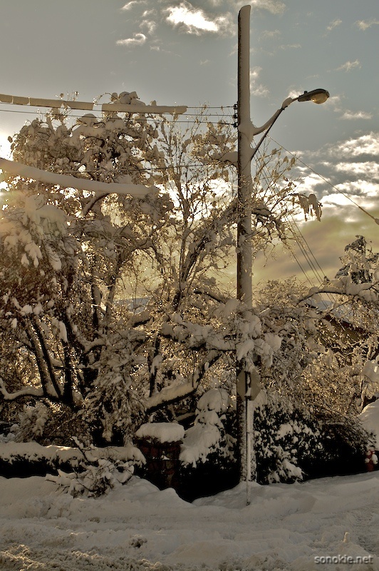 winter