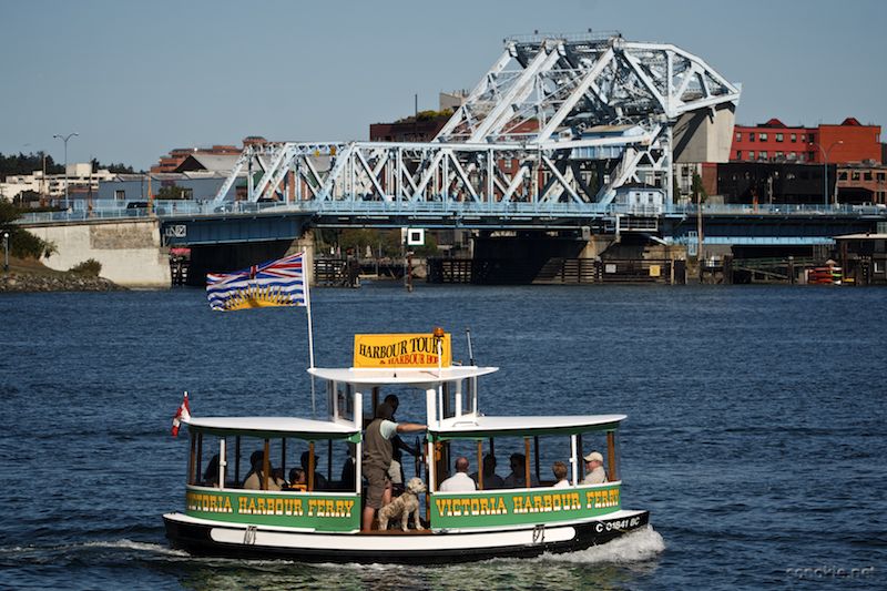 harbour tour
