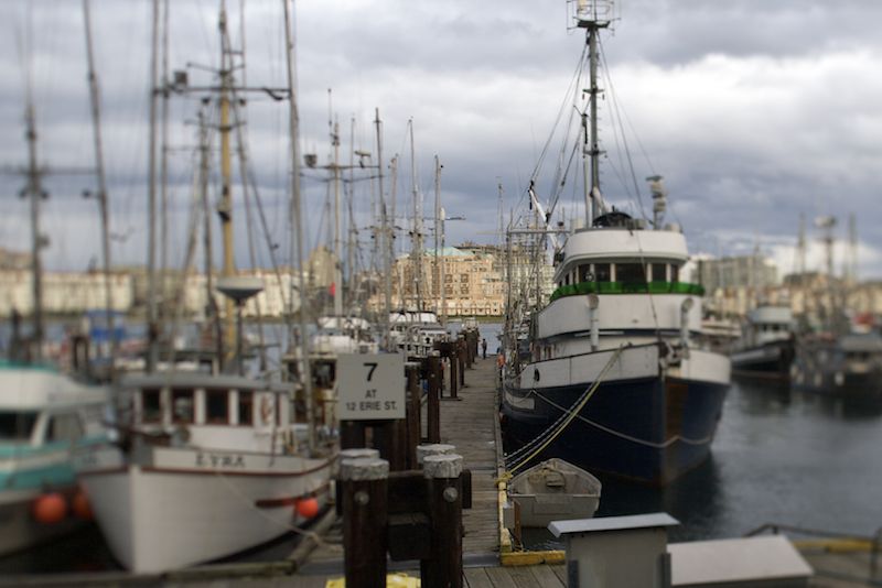 tilted wharf