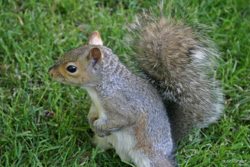 are you going to feed me