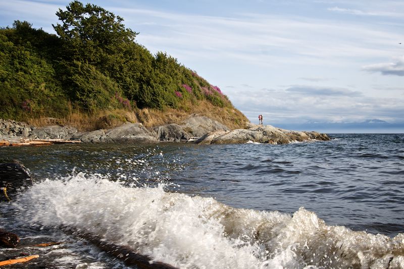 waves at the beach