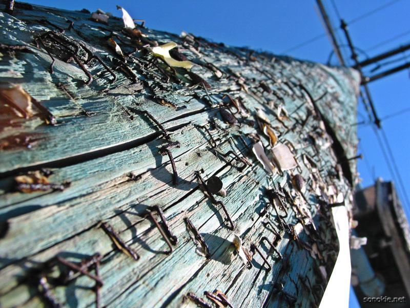 telephone pole