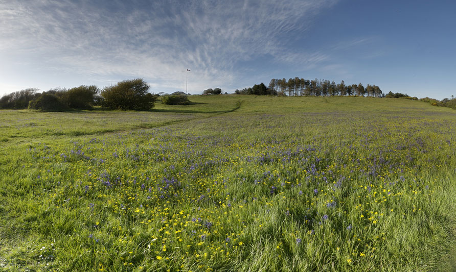 beacon panorama