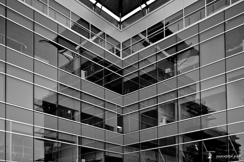 reflected lines