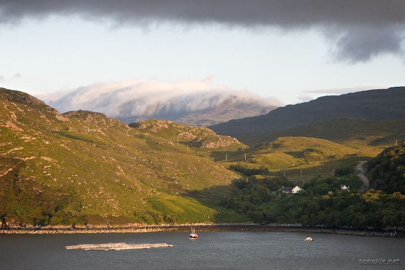 kenmore fish farm