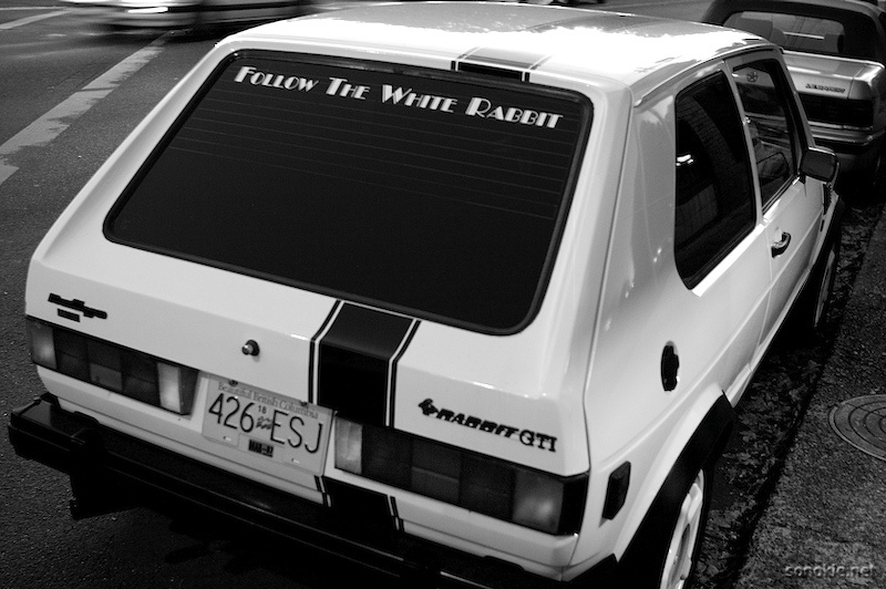 white rabbit