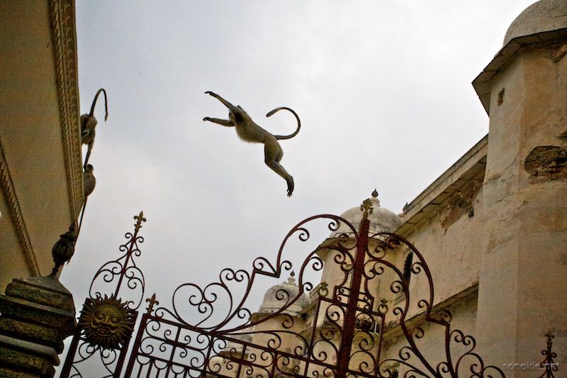 crossing the gate