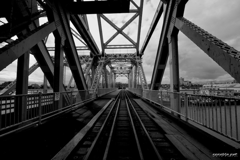 the bridge