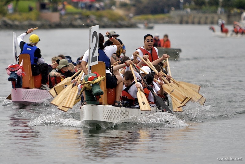 paddles