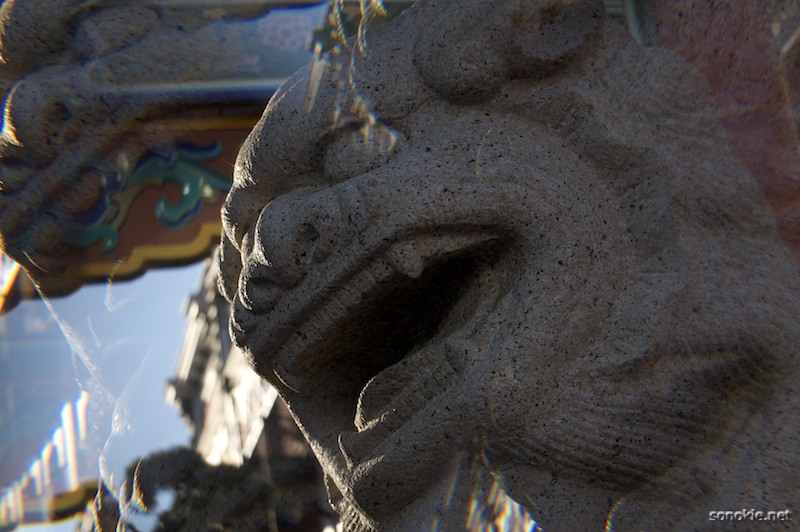chinese lion