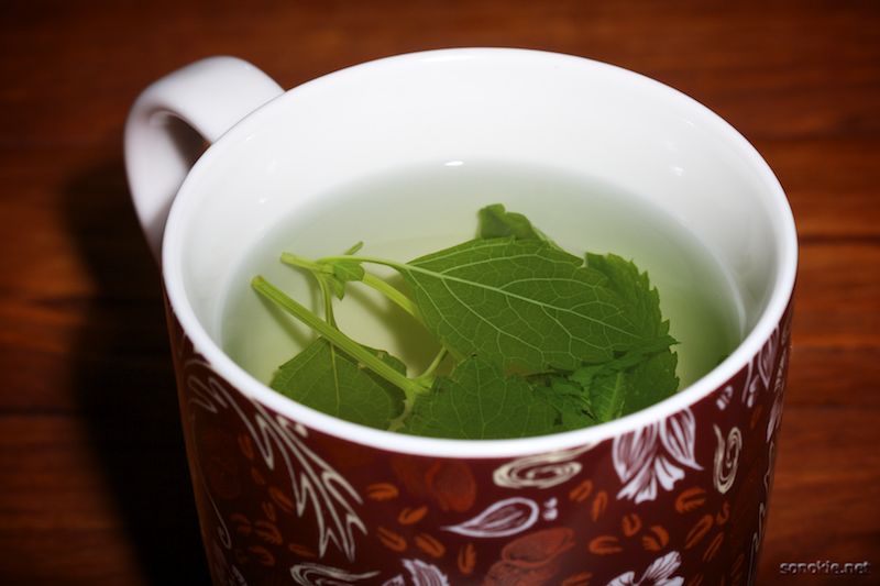 hot tea in summer