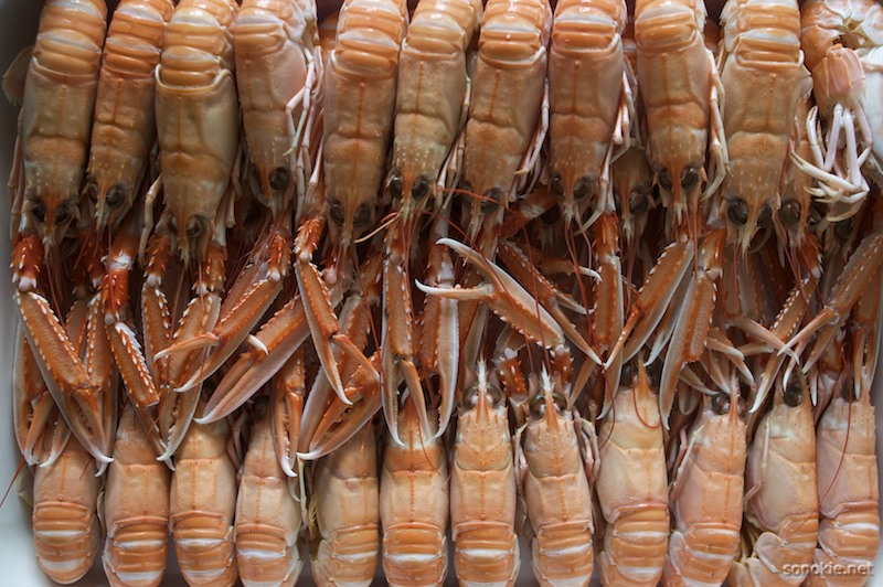 claws