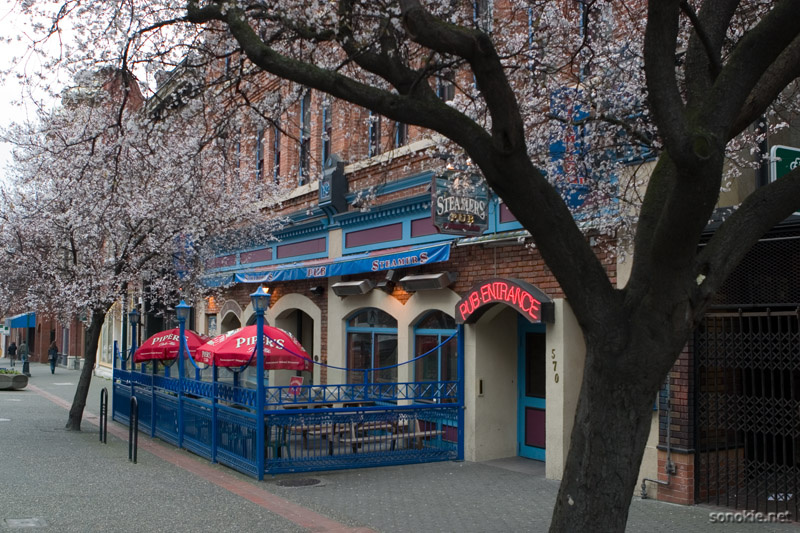 steamers pub