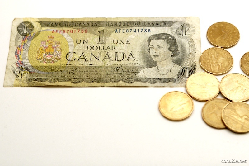 one dollar