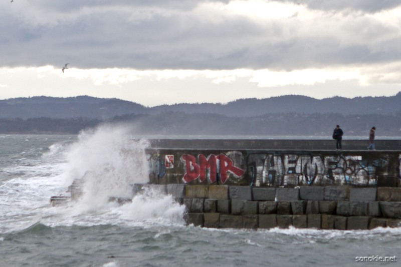 breakwater waves