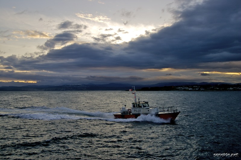 pilot boat