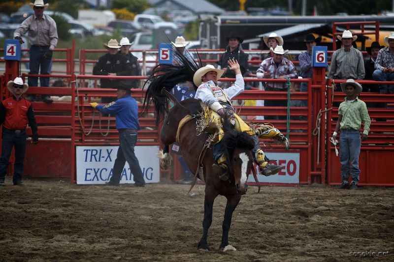 rodeo rider