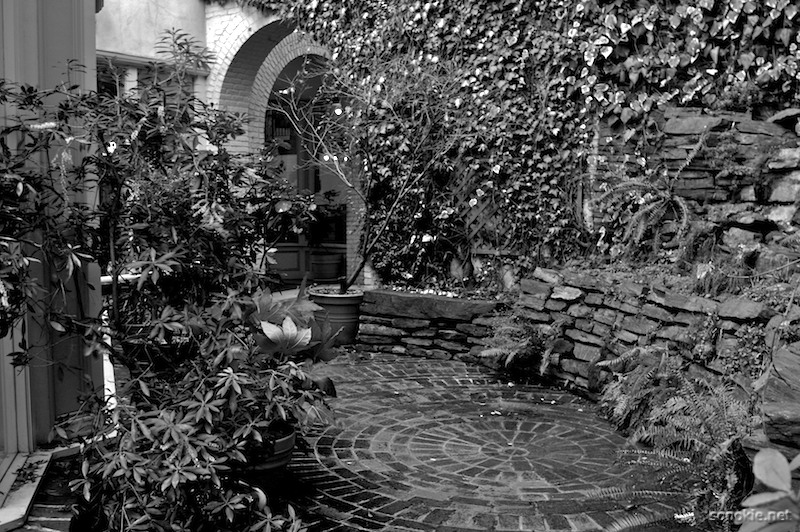 brick and ivy