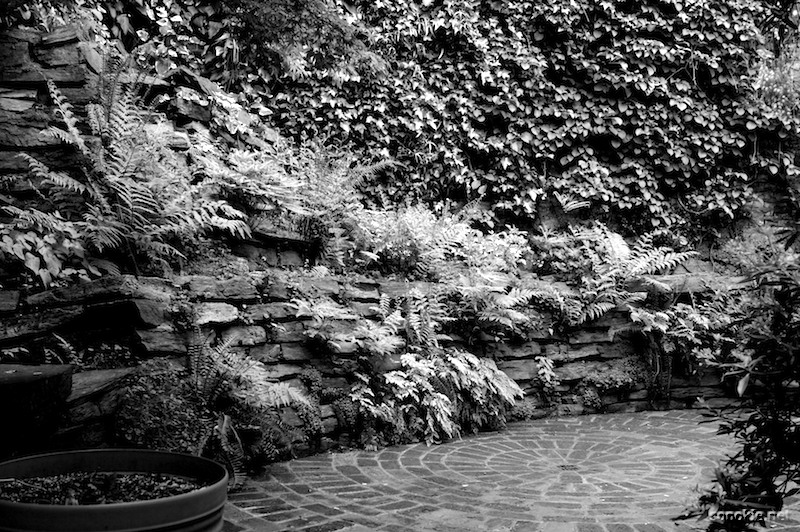 zen architecture