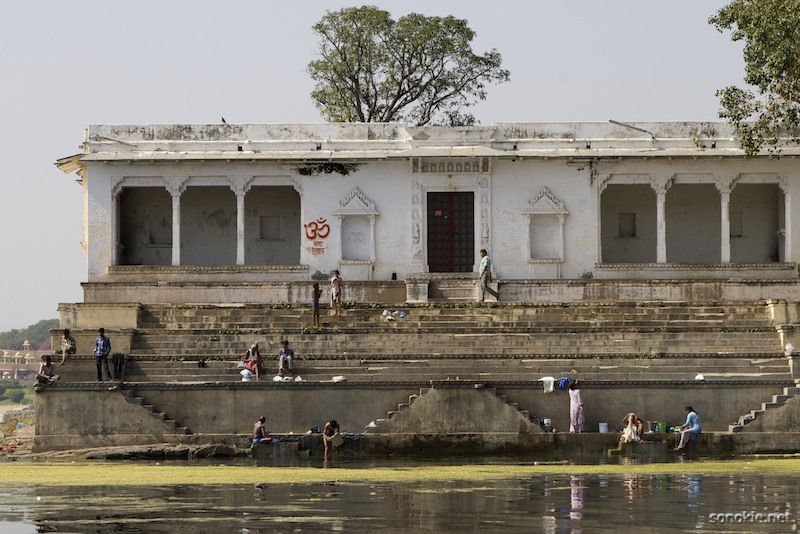 udaipur