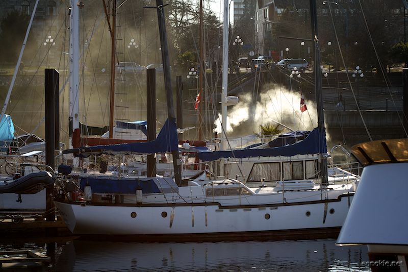 smoky boats